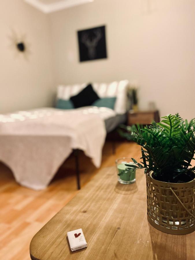 Saniertes Studio - Elisa - Mit Balkon, Wlan, Smart-Tv & Kueche In City-Naehe Erfurt Bagian luar foto