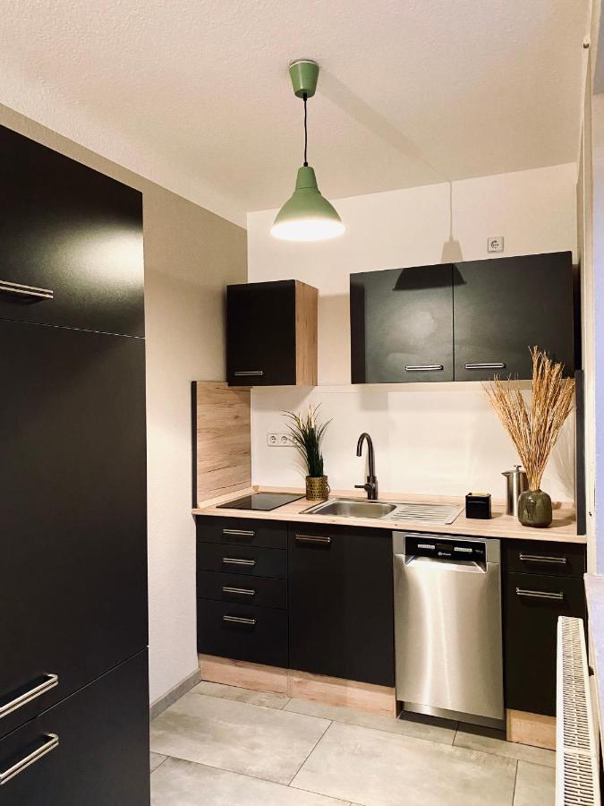 Saniertes Studio - Elisa - Mit Balkon, Wlan, Smart-Tv & Kueche In City-Naehe Erfurt Bagian luar foto